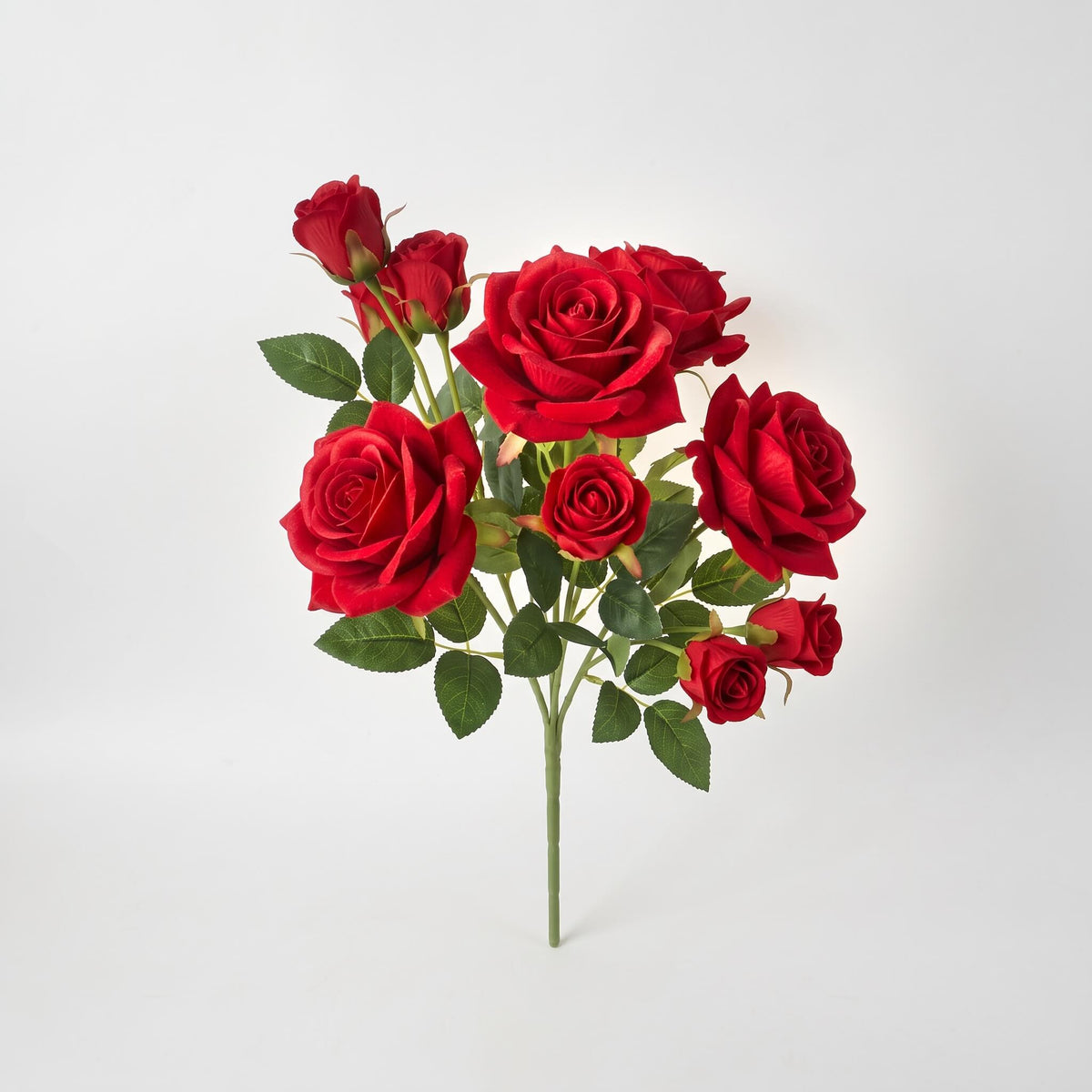 #Flor_Rosas rojas